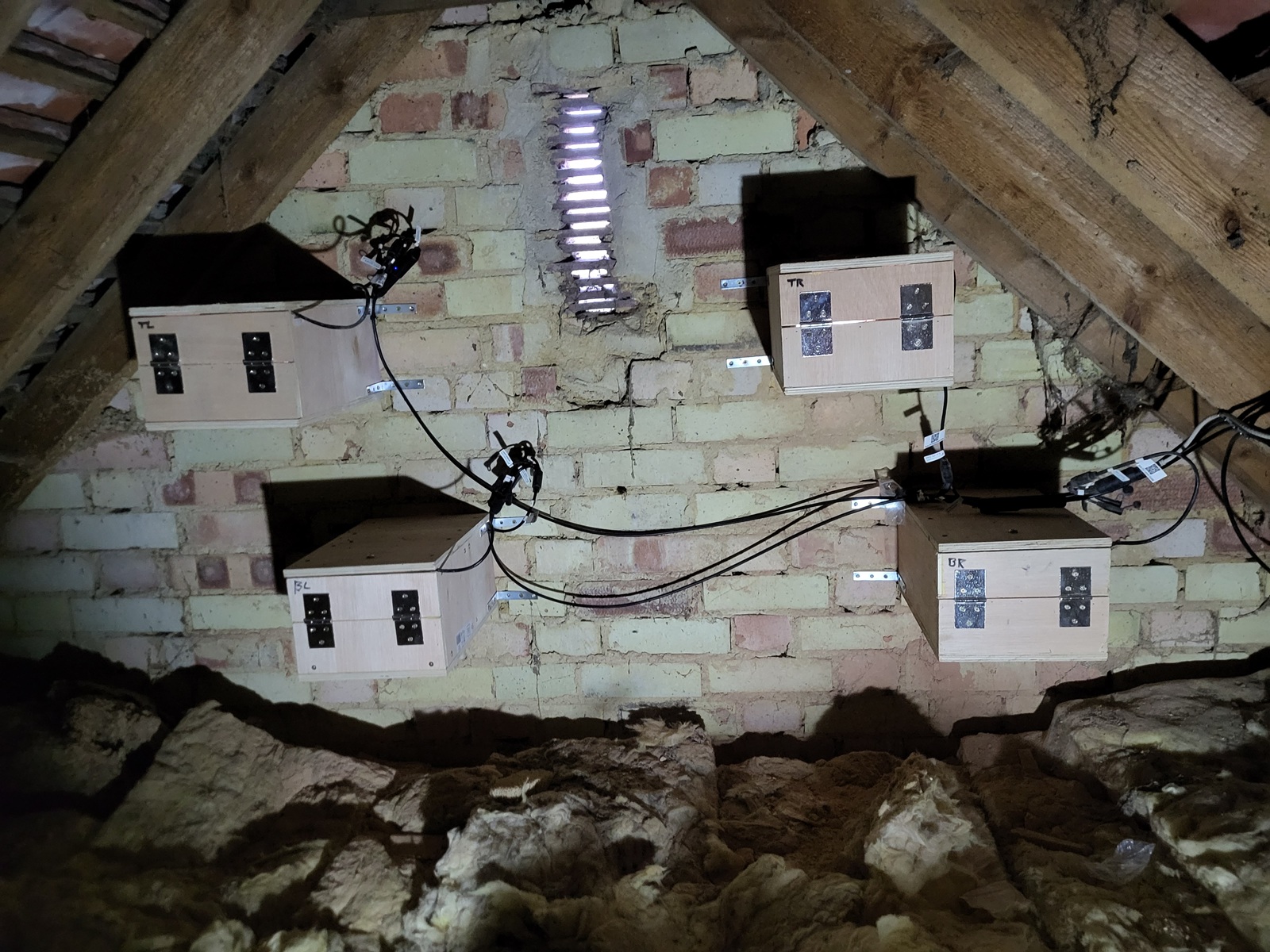Four wooden nest boxes labelled TL, TR, BL, BR mounted to the attic wall with cameras and cabling