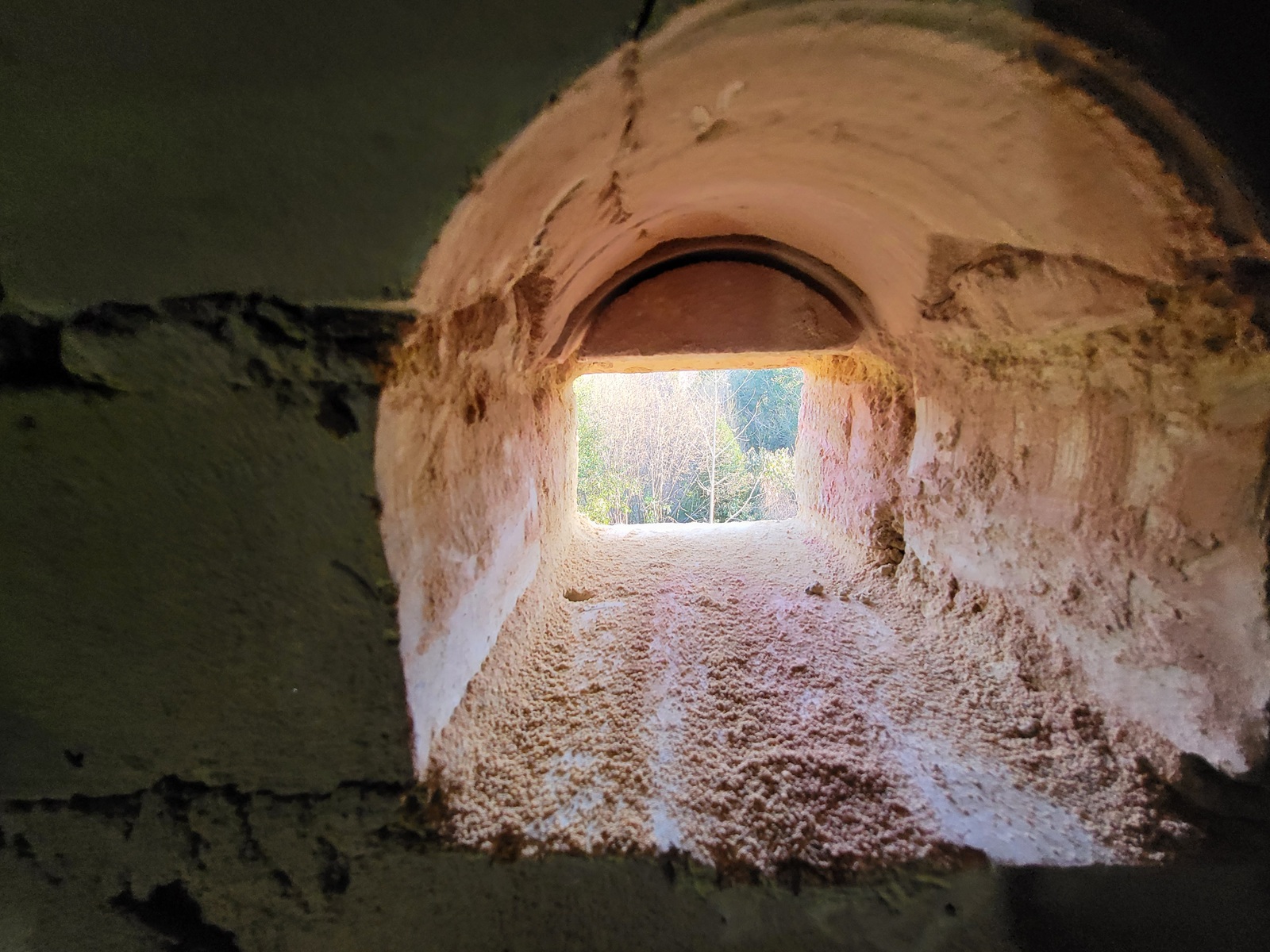 View looking out through a swift entrance hole towards trees and sky